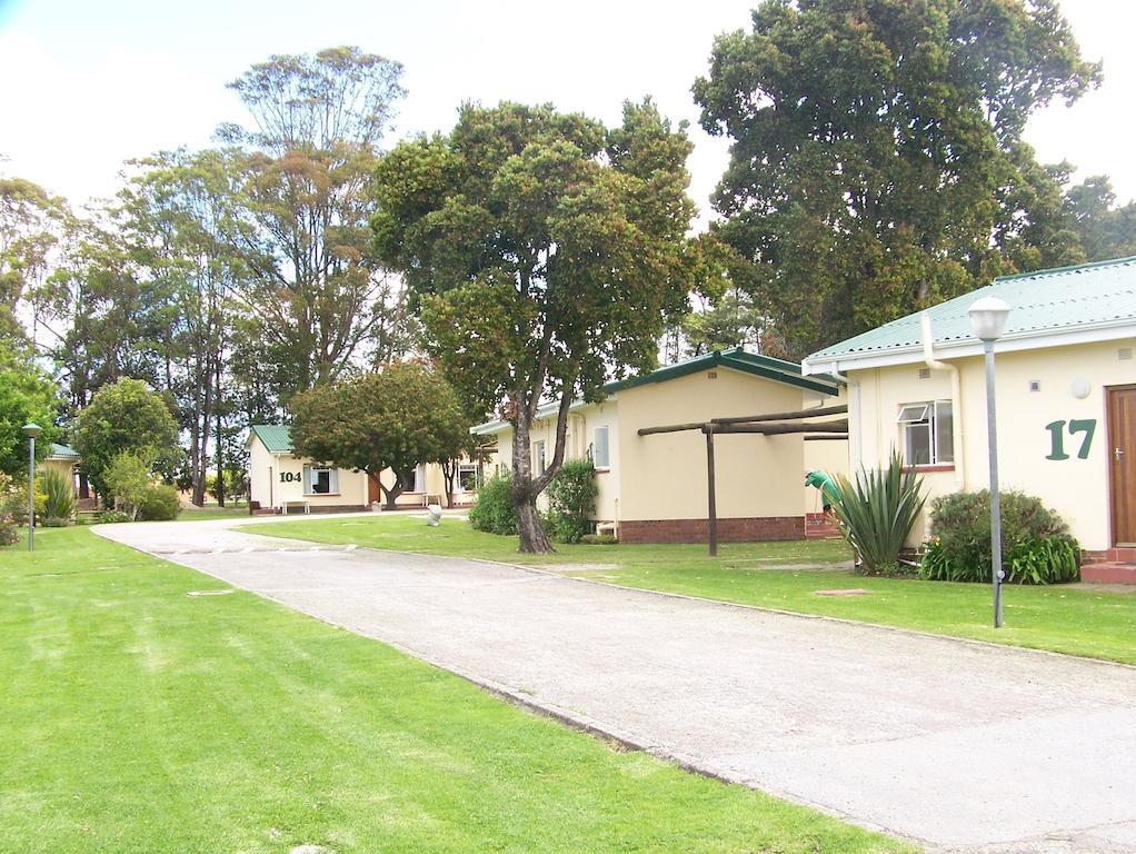 Pine Lodge Resort George Esterno foto