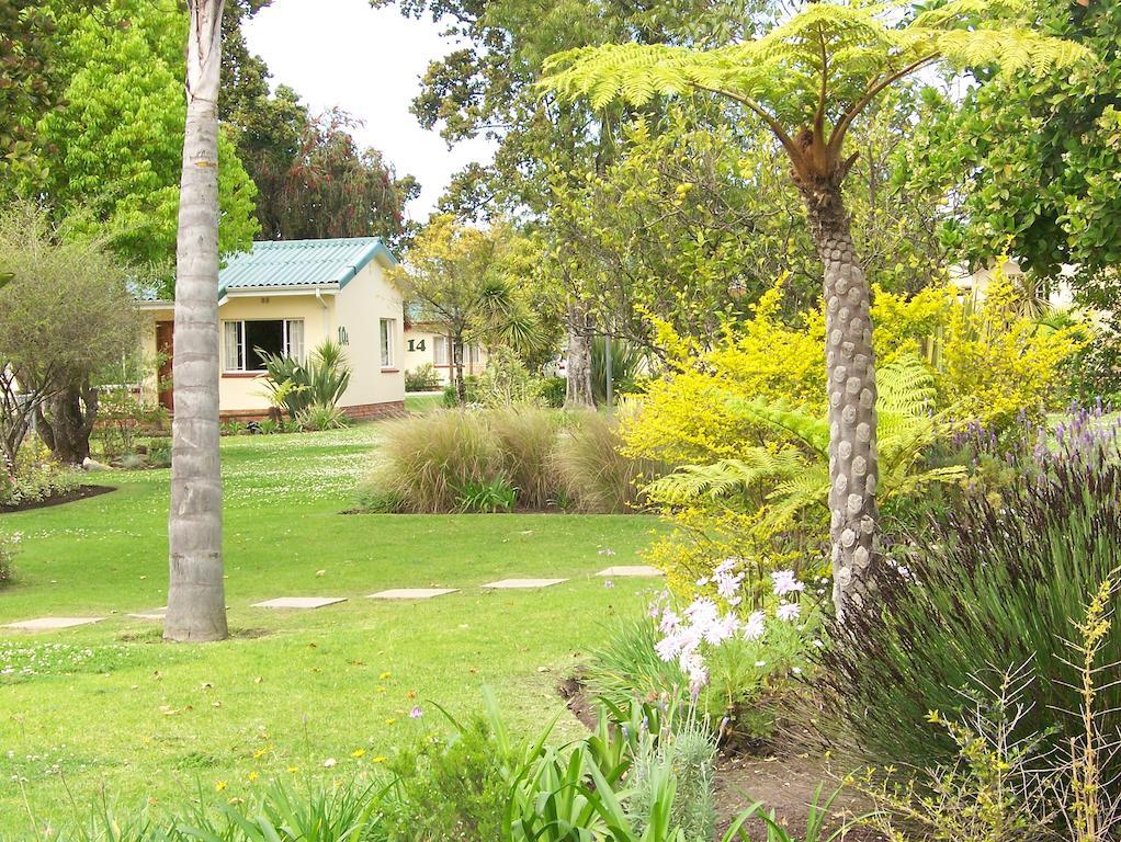Pine Lodge Resort George Esterno foto